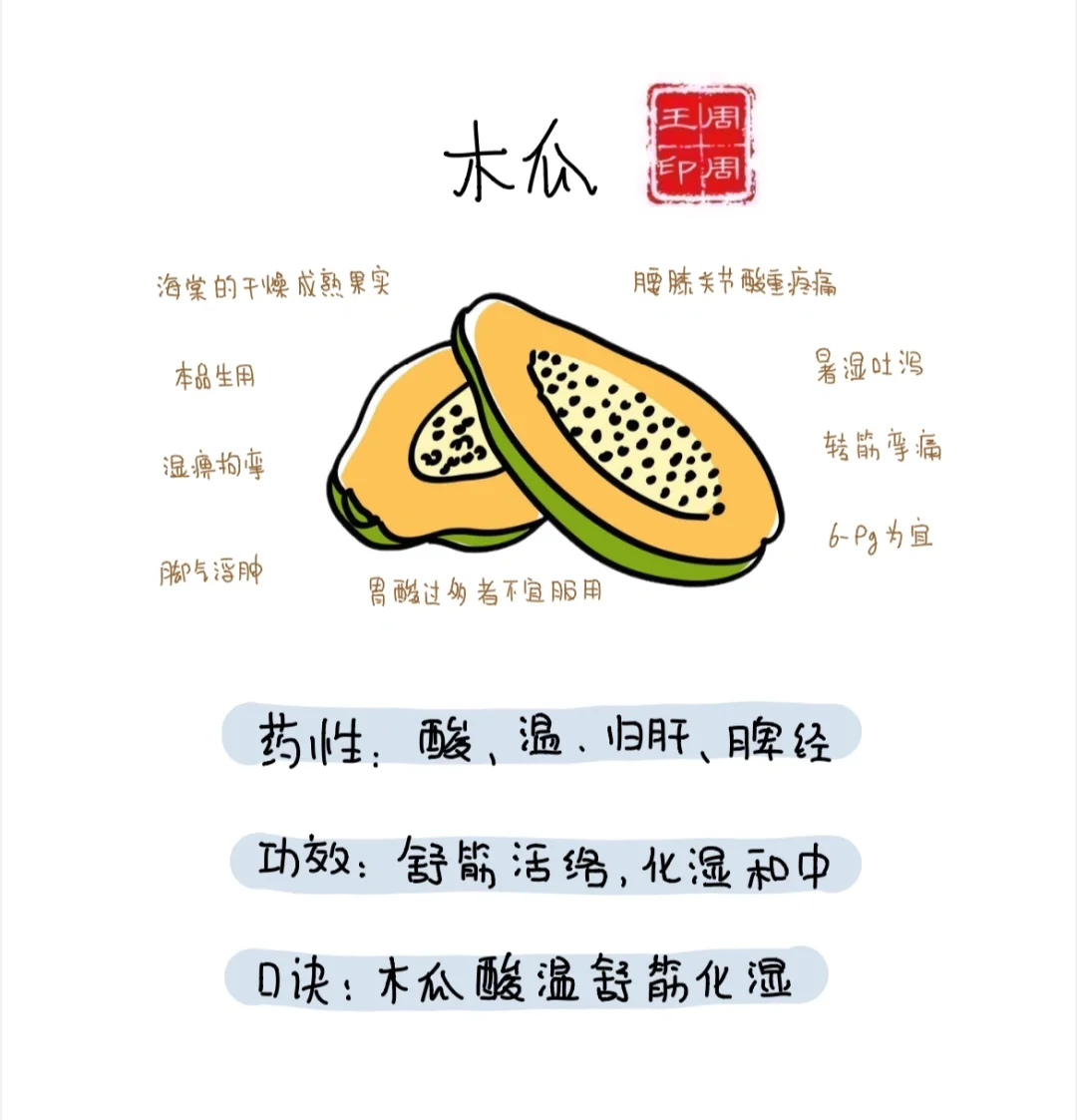 《中药学》----木瓜🐾🐾🐾