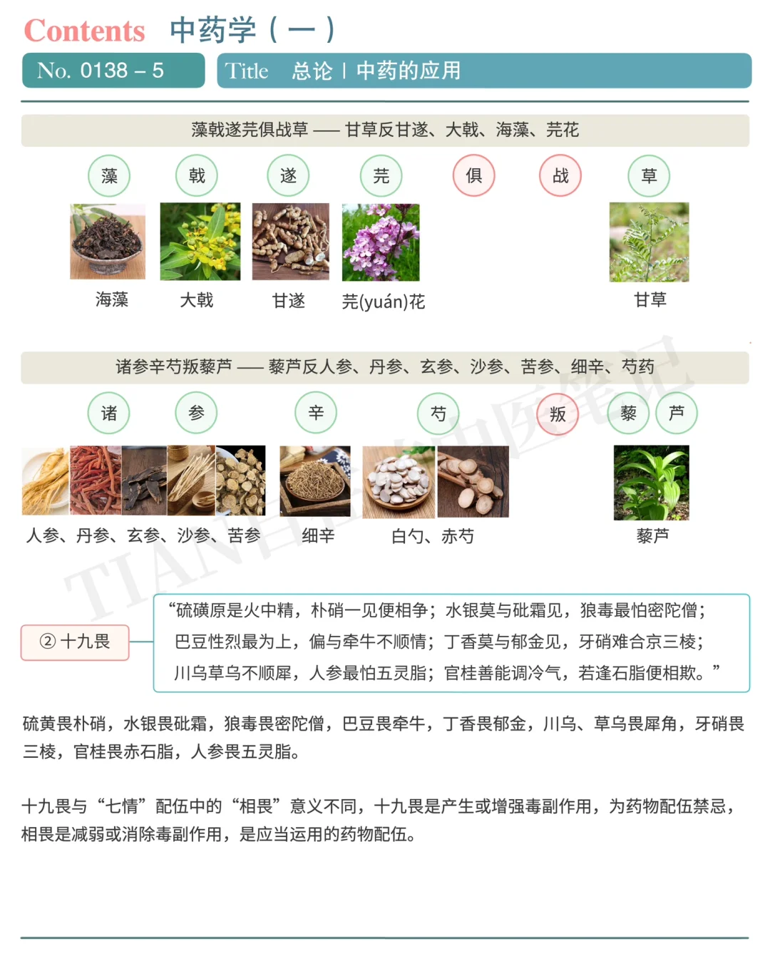 探索中药的奥秘，如何全面掌握中药命令与应用？  第1张