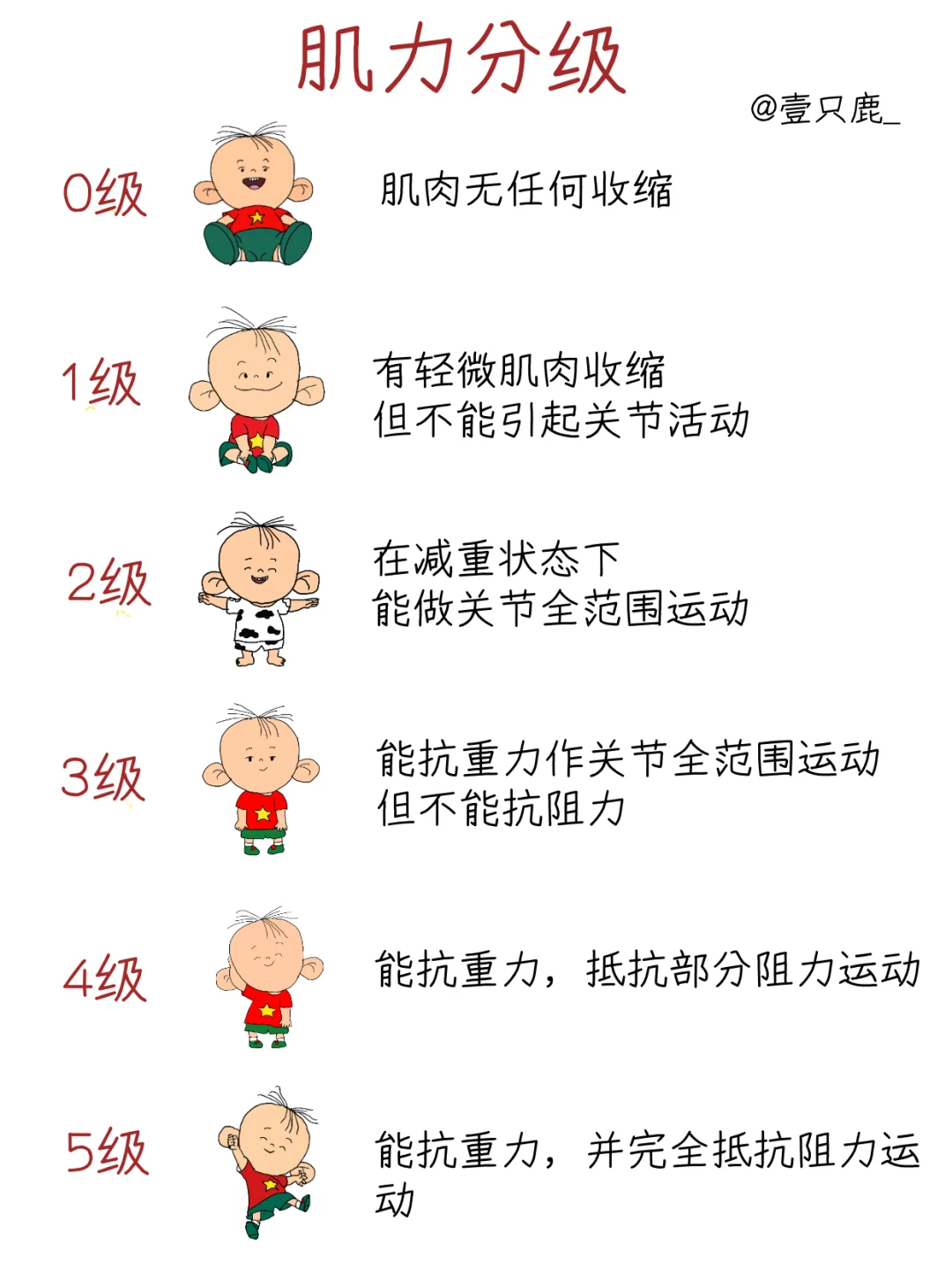 医学生笔记📝｜肌力分级