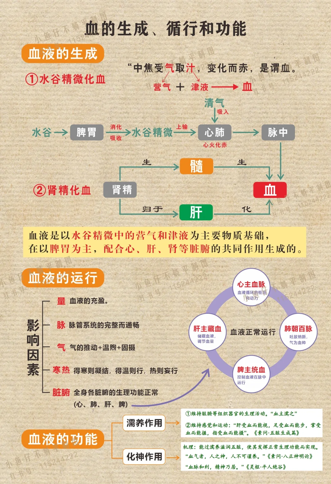 气血精津液—血