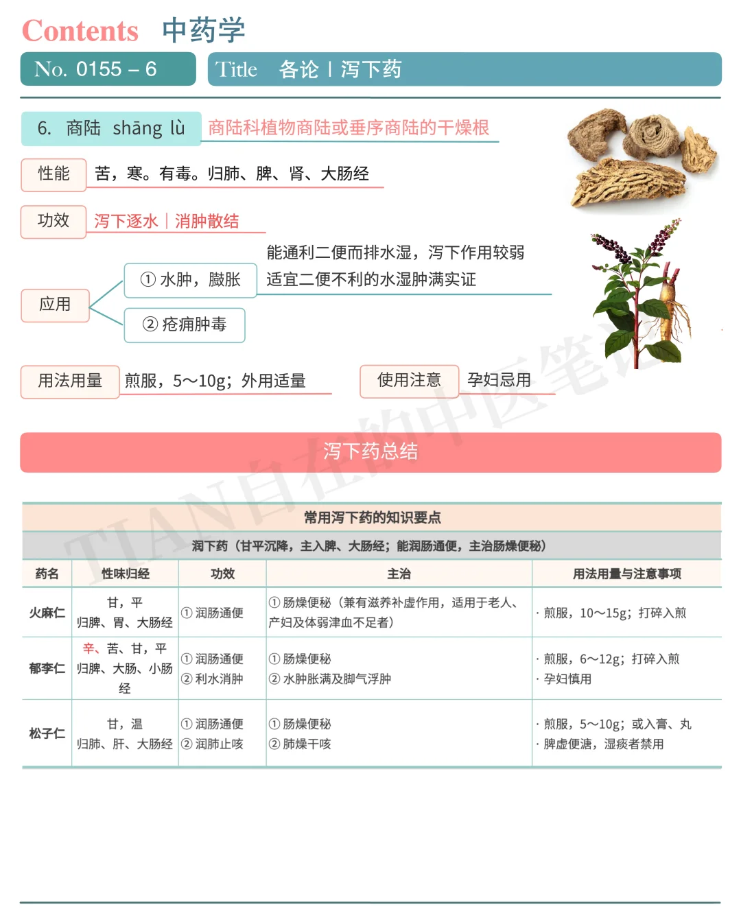 学中医第155天｜中药学｜泻下药（下）