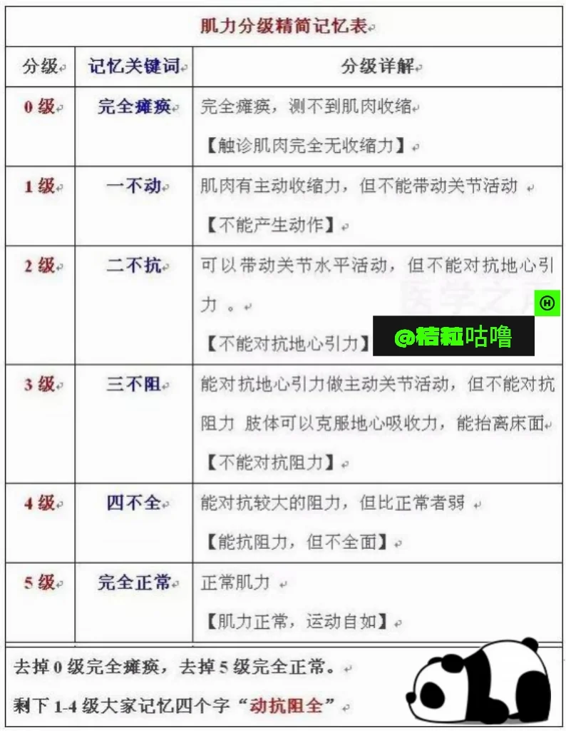 临床笔记｜肌力和肌张力分级