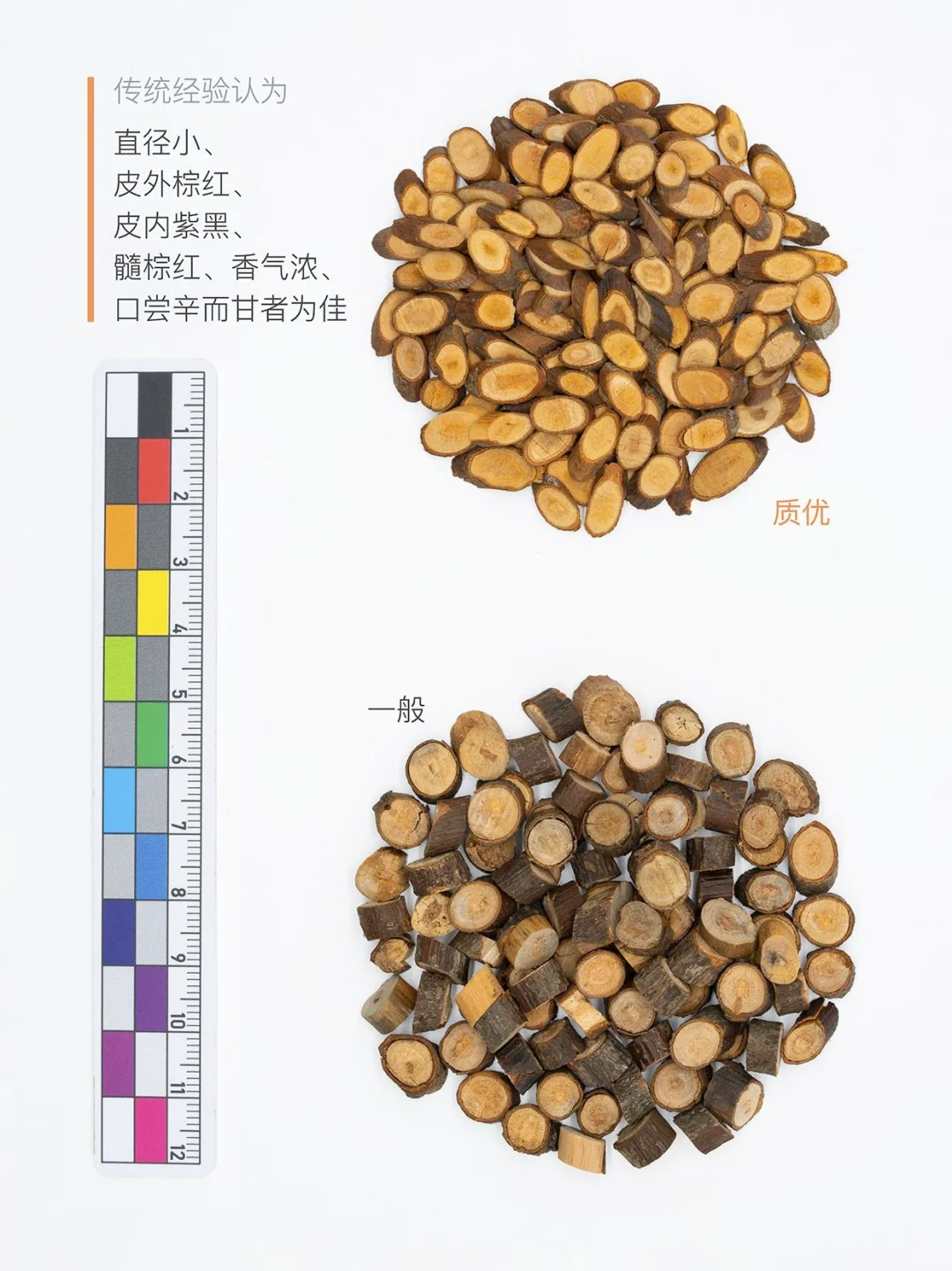 解表药01：桂枝