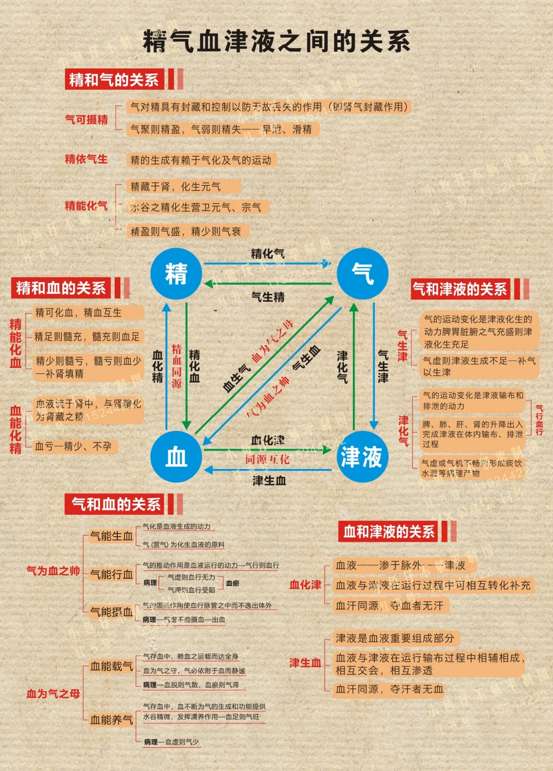 精气血津液之间的关系