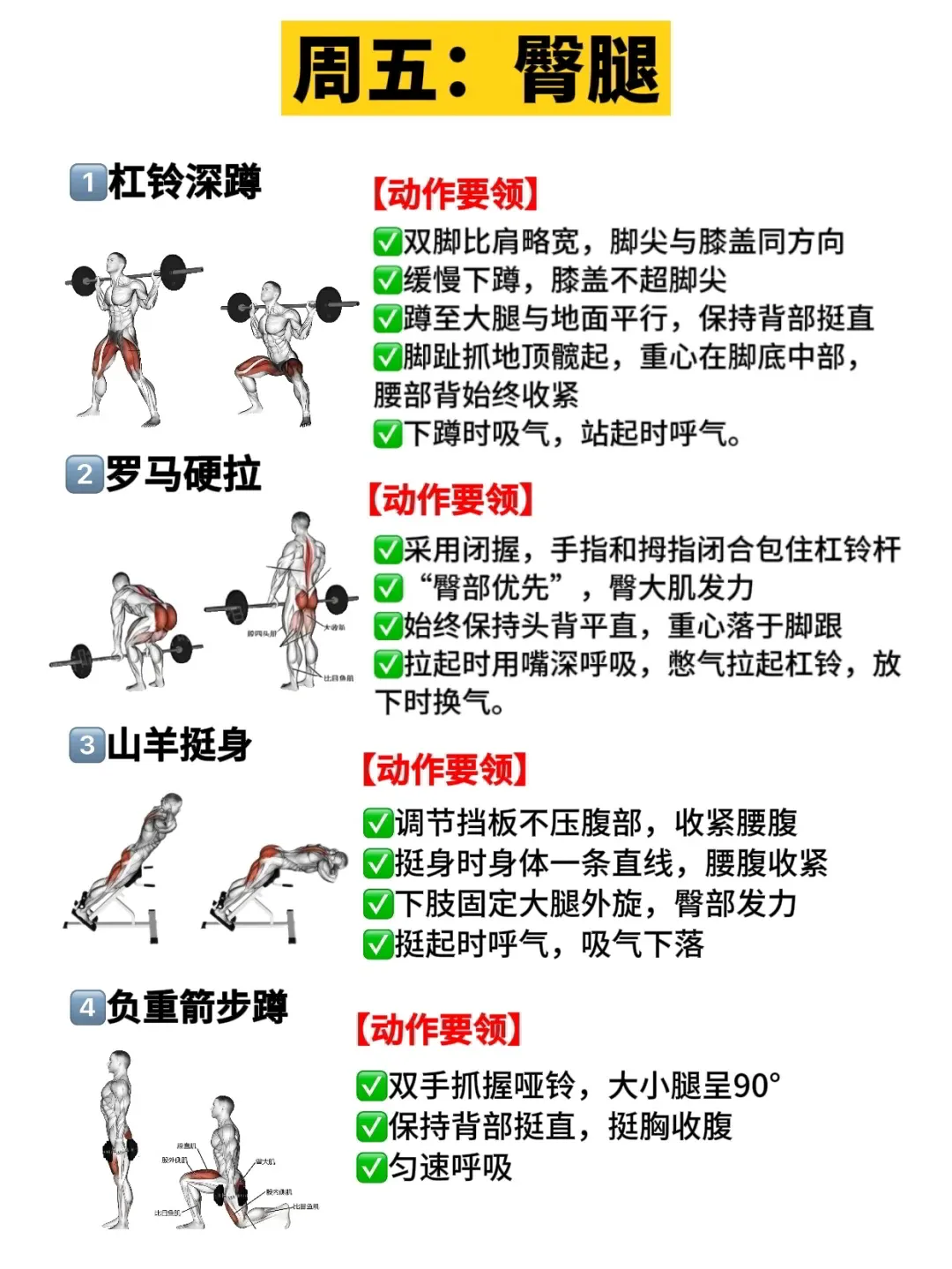 健身房训练计划!一周训练计划!附详细教程