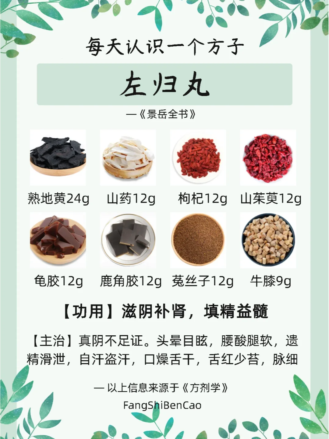 每天认识一个方子【左归丸】