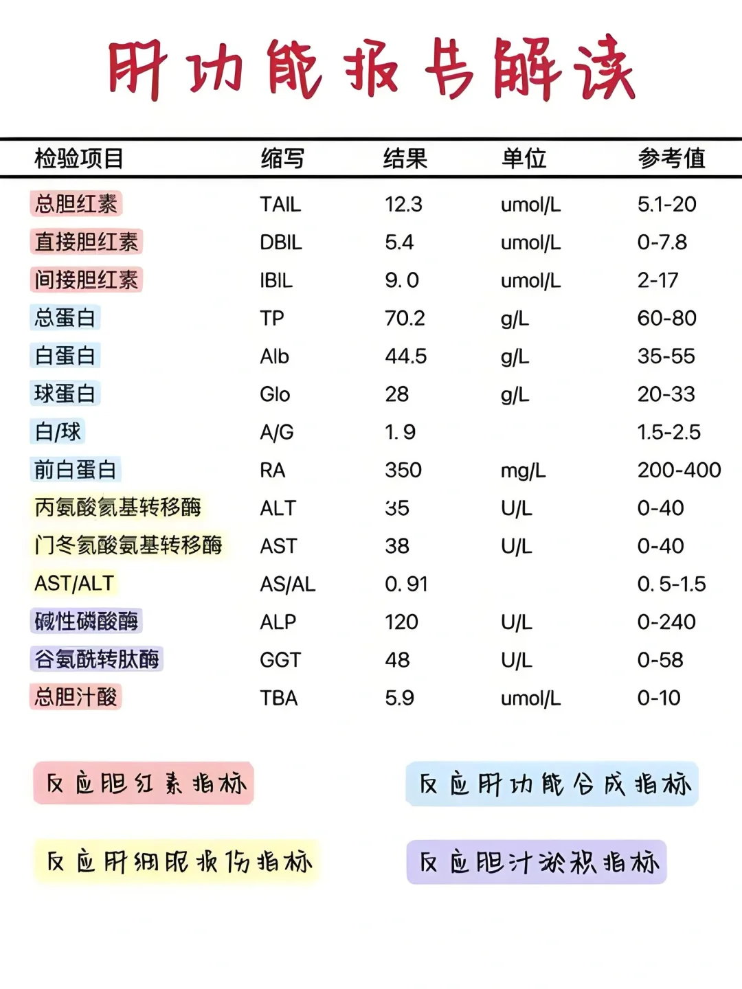 1分钟教你看懂肝功能检查单!!!