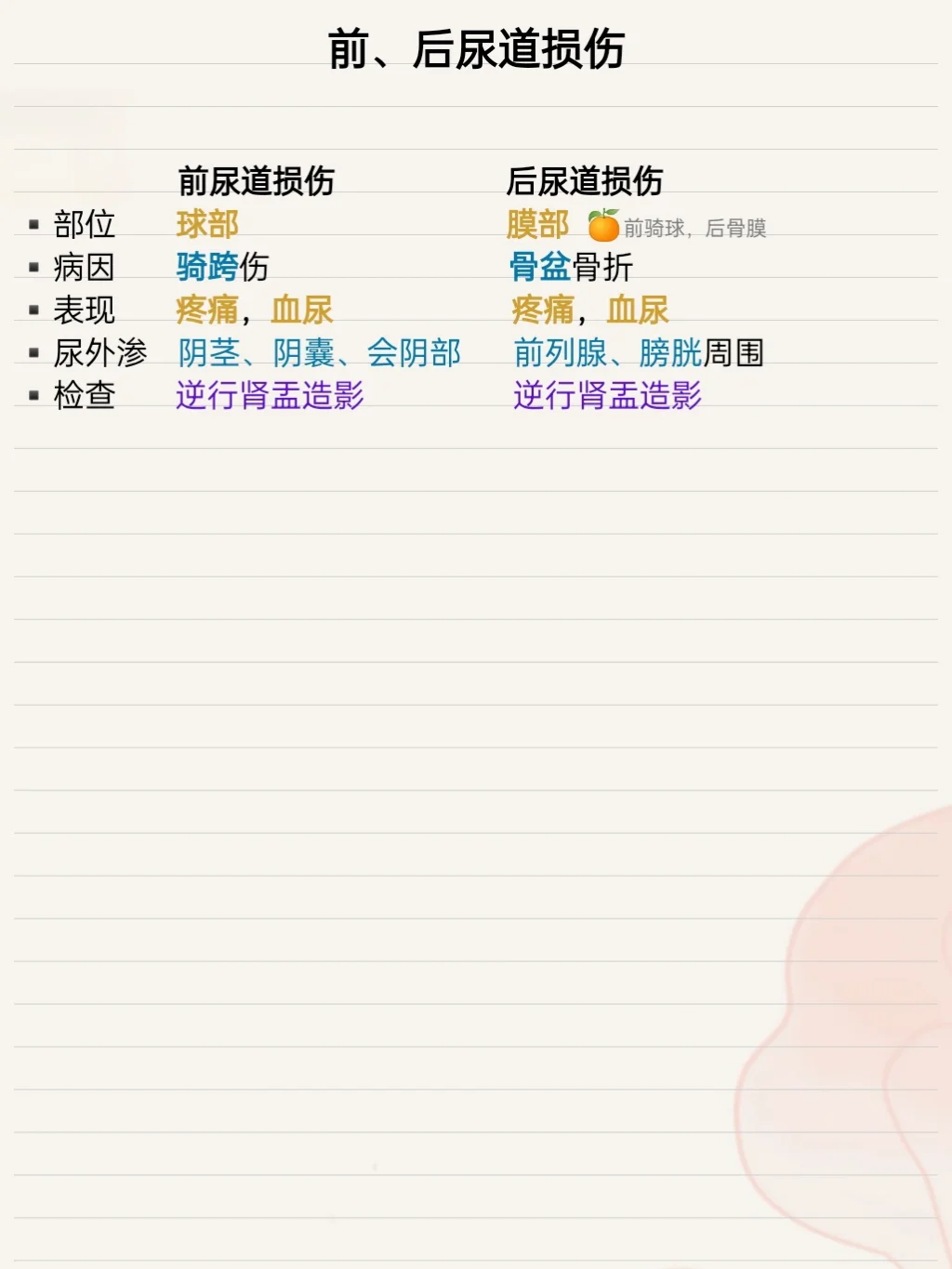 肾损伤、尿道损伤