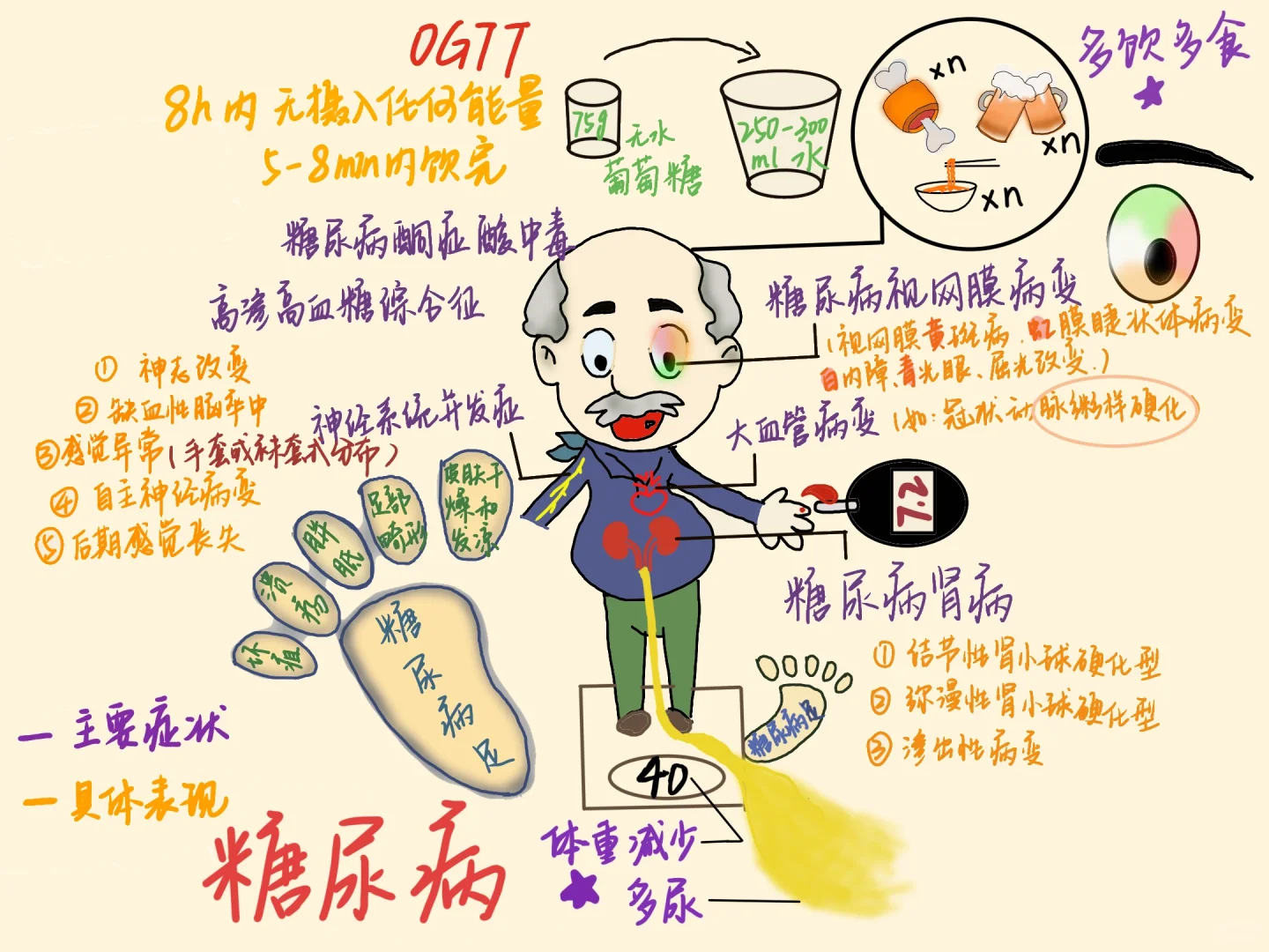 黎明现象vs苏木杰现象 糖尿病笔记学习