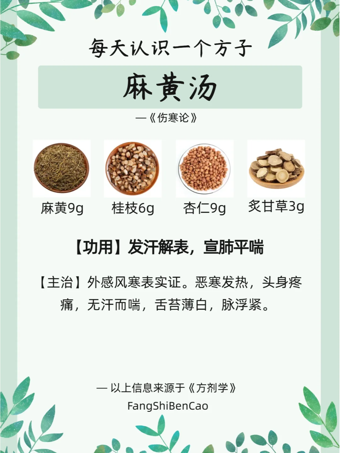 每天认识一个方子【麻黄汤】