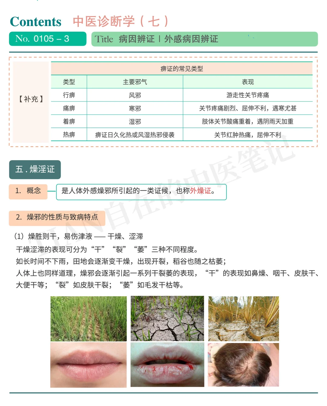 一起学中医｜第105天｜湿淫证&燥淫证